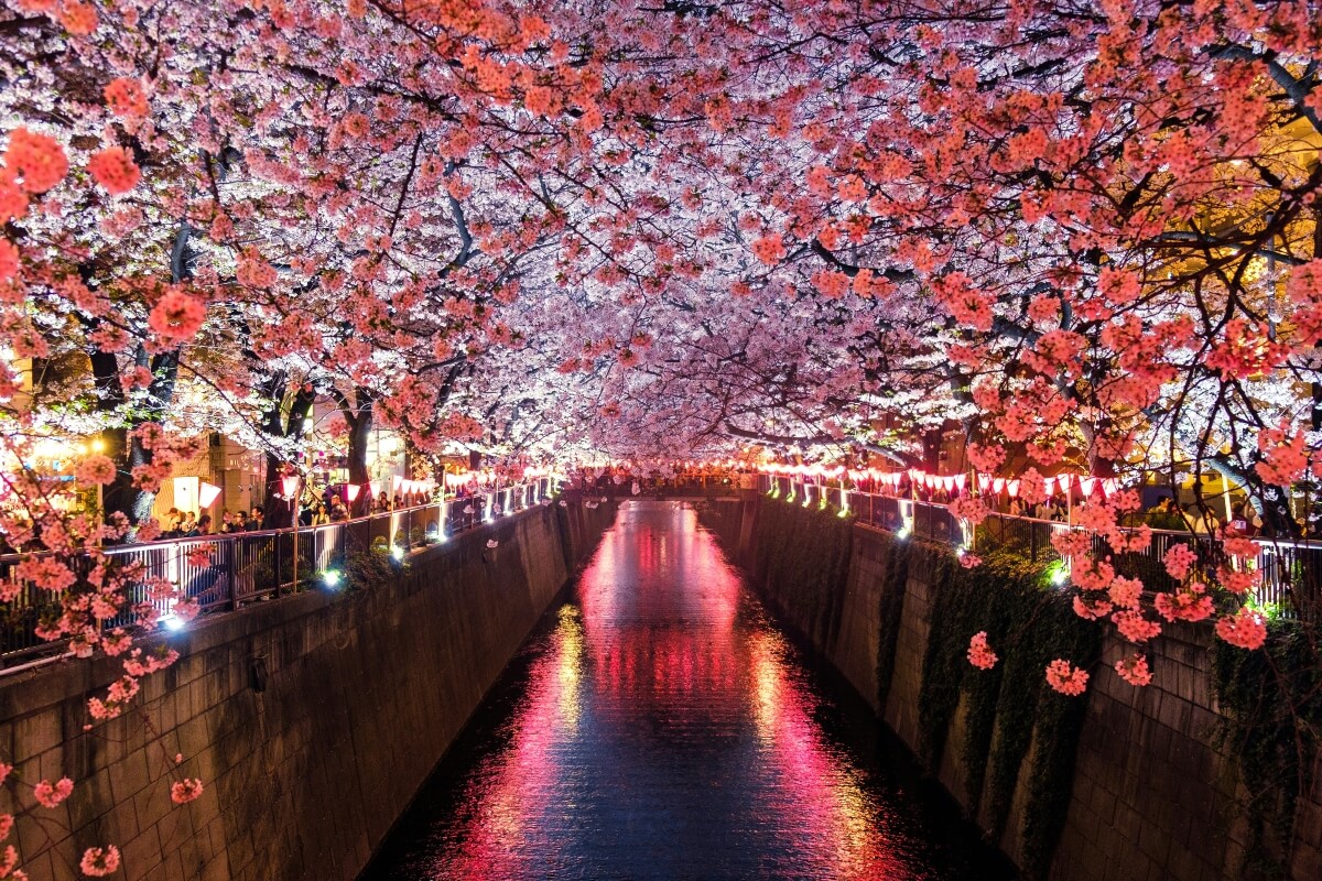 COREA & JAPON 21 de Marzo