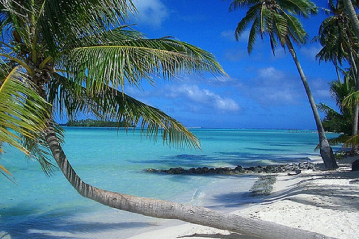 JAMAICA grupal 14 de Junio 2026