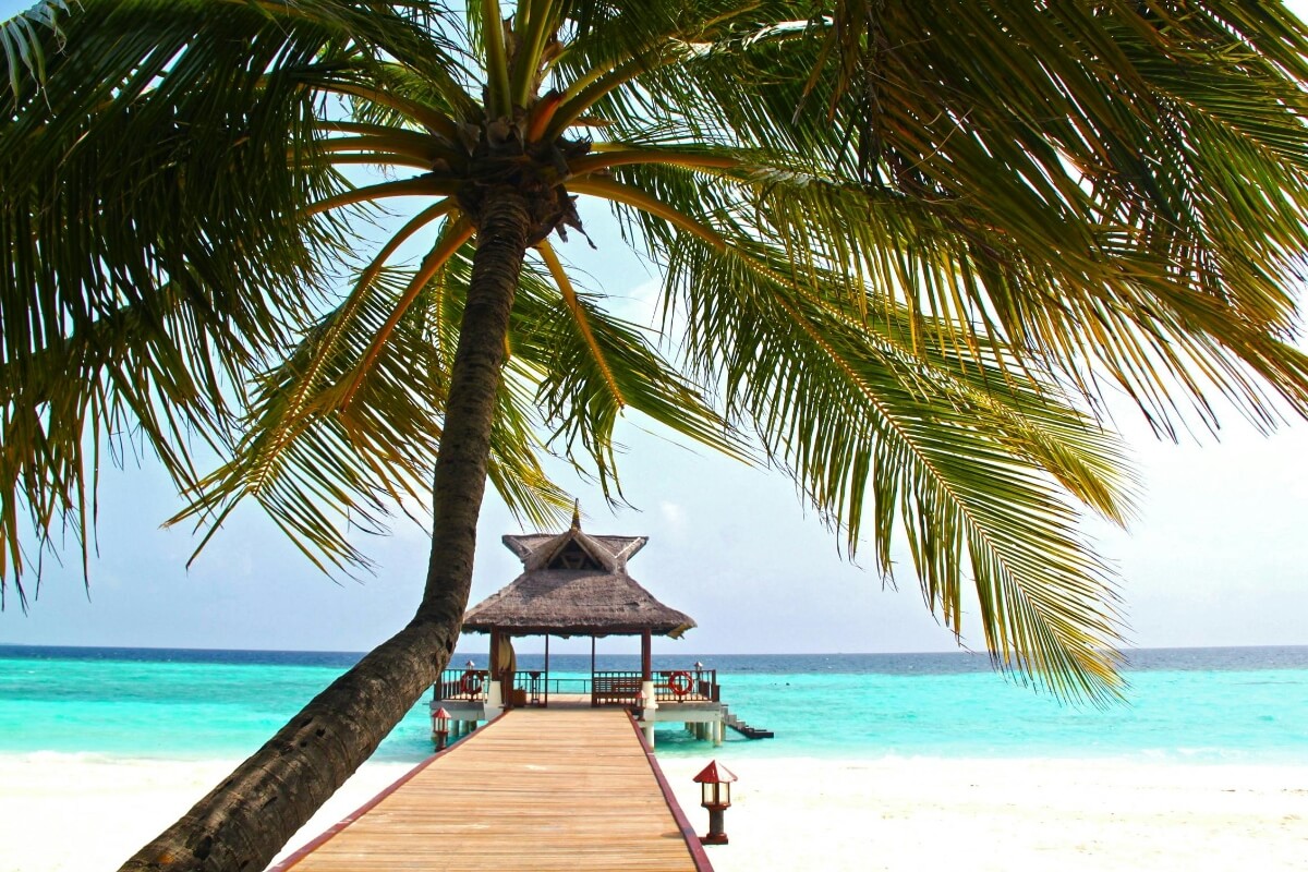 BAYAHIBE Verano 2027 desde Rosario