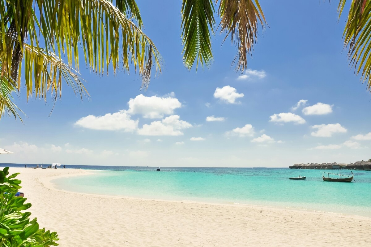 BAYAHIBE Verano 2027 desde Rosario